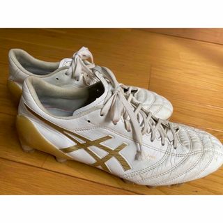 アシックス(asics)のasics 25.5 ディーエス ライト X-フライ 4 (シューズ)