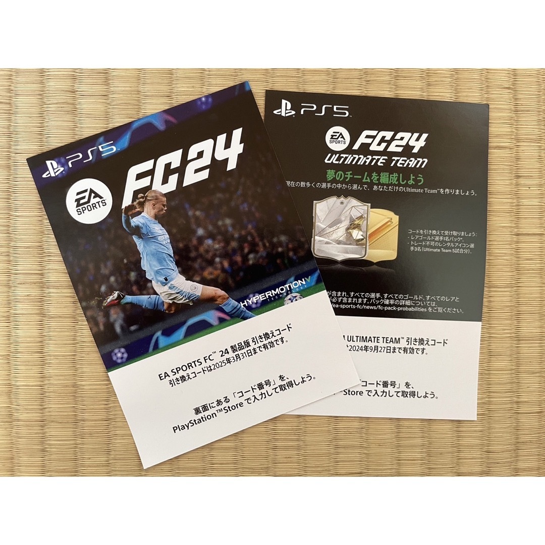 PS5 EA SPORTS FC24 ダウンロード版 プロダクトコード エンタメ/ホビーのゲームソフト/ゲーム機本体(家庭用ゲームソフト)の商品写真
