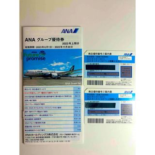 エーエヌエー(ゼンニッポンクウユ)(ANA(全日本空輸))の【新品・匿名配送】ANA 株主優待券２枚 小冊子付(航空券)