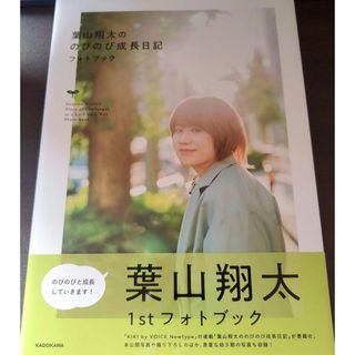 シュウエイシャ(集英社)の葉山翔太 葉山翔太ののびのび成長日記 フォトブック(文学/小説)