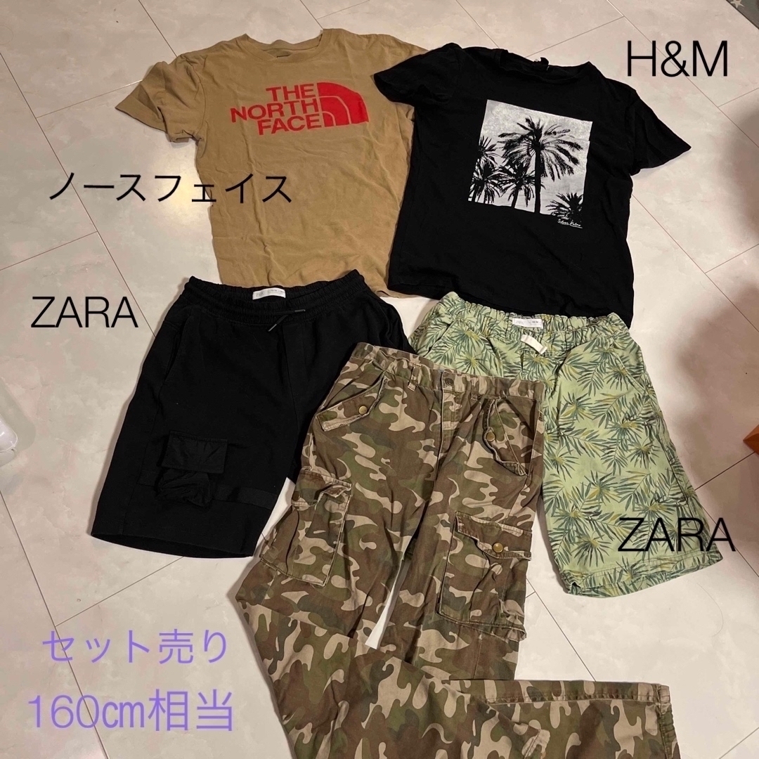 ズボン　半袖　セット　160  ZARA  Tシャツ