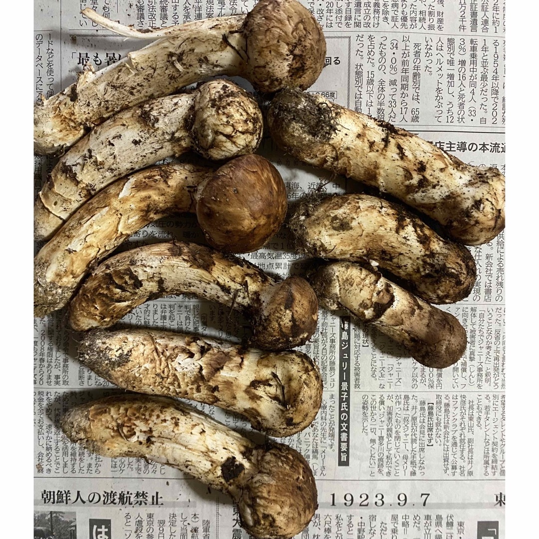 本日収穫！岩手県産、松茸！の通販 by yu's SHOP｜ラクマ