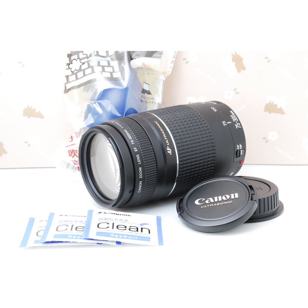 Canon   美品望遠レンズCanon EF mm F4..6 USMⅢの通販