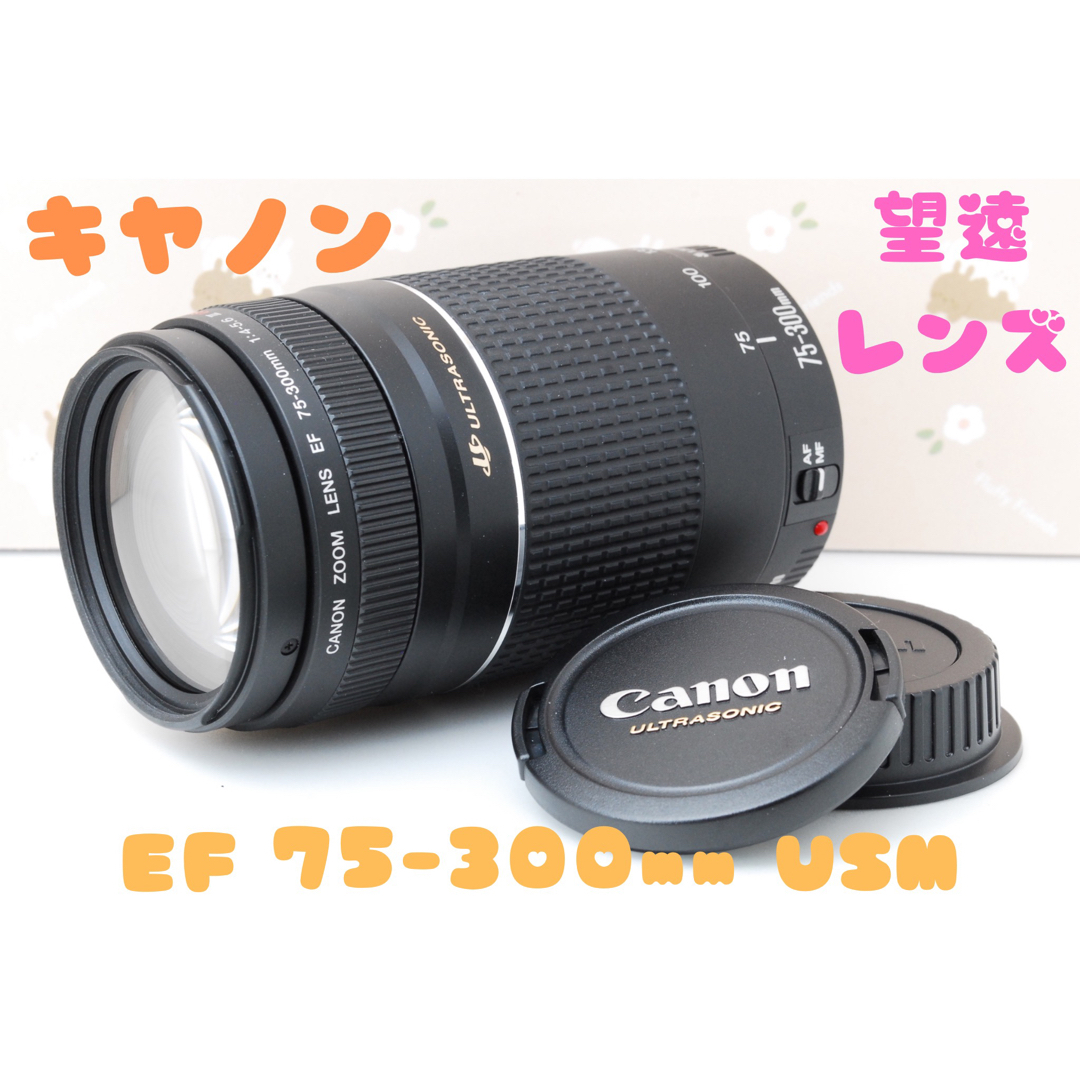 キヤノン☆フード付き☆人気の望遠レンズ Canon EF75-300㎜ - レンズ