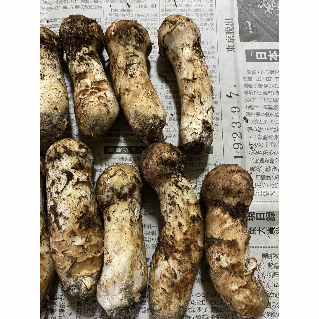 岩手県産、松茸!!
