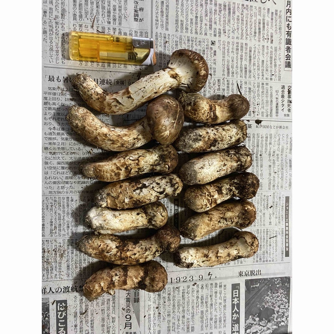 岩手県産、松茸!! | フリマアプリ ラクマ