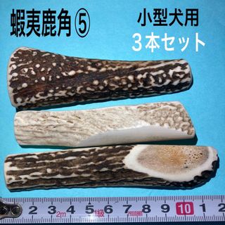 鹿の角　犬用品　小型犬用３本(犬)