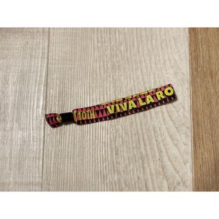 【非売品】VIVA LA ROCK 入場者限定バンド  2023/05/04(音楽フェス)