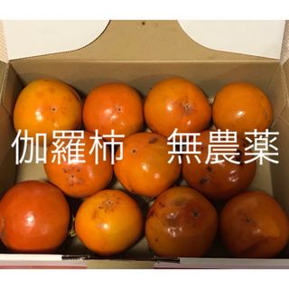 ご自宅用 伽羅柿 約1.1kg 無農薬11個(フルーツ)