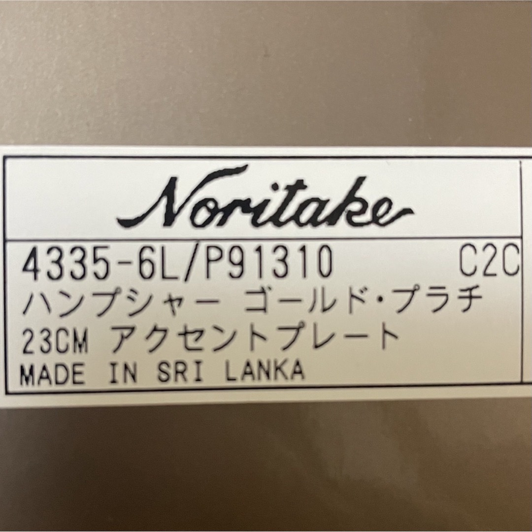 Noritake(ノリタケ)の【新品】Noritake ノリタケ プレート 皿 2枚セット 23cm インテリア/住まい/日用品のキッチン/食器(食器)の商品写真