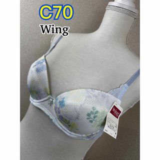 ウィング(Wing)のWing ブラジャー C70 (KB2801)(ブラ)