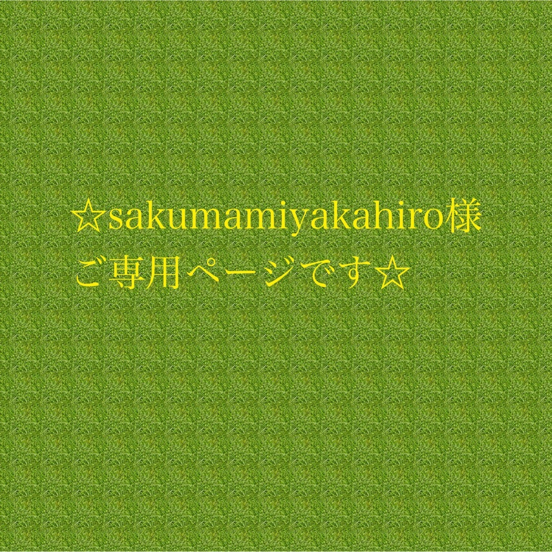 ☆sakumamiyakahiro様 ご専用ページです☆の通販 by miiyavi_stone|ラクマ
