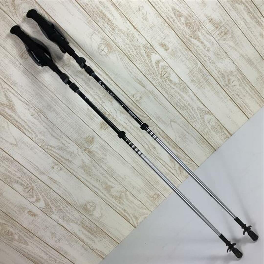 Black Diamond ブラックダイヤモンド ディスタンス FLZ
