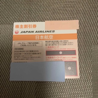 ジャル(ニホンコウクウ)(JAL(日本航空))のJAL 株主優待券　2023年11月末まで(航空券)