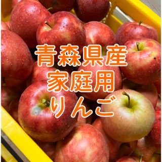 【産地直送】青森県産りんご 家庭用  10kg(フルーツ)