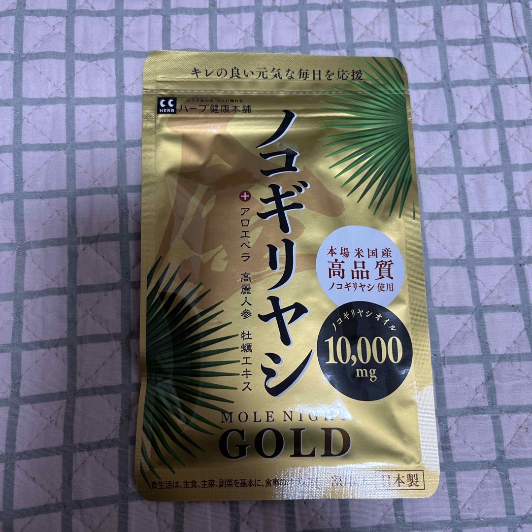 GOLD ノコギリヤシ - 9