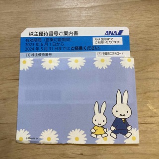 エーエヌエー(ゼンニッポンクウユ)(ANA(全日本空輸))のANA チケット　2024.5.31まで　1枚(航空券)