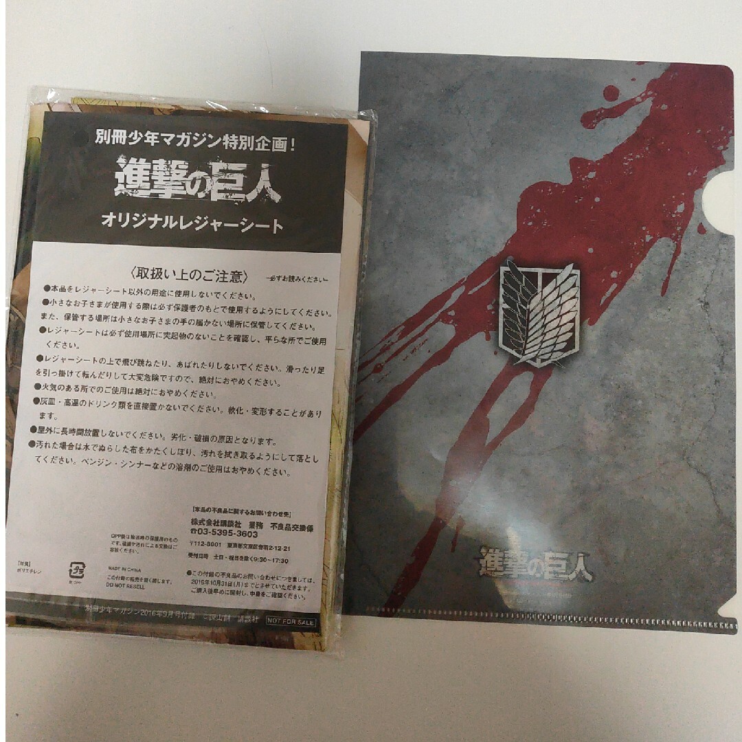 進撃の巨人レジャーシートとクリアファイル エンタメ/ホビーのアニメグッズ(クリアファイル)の商品写真