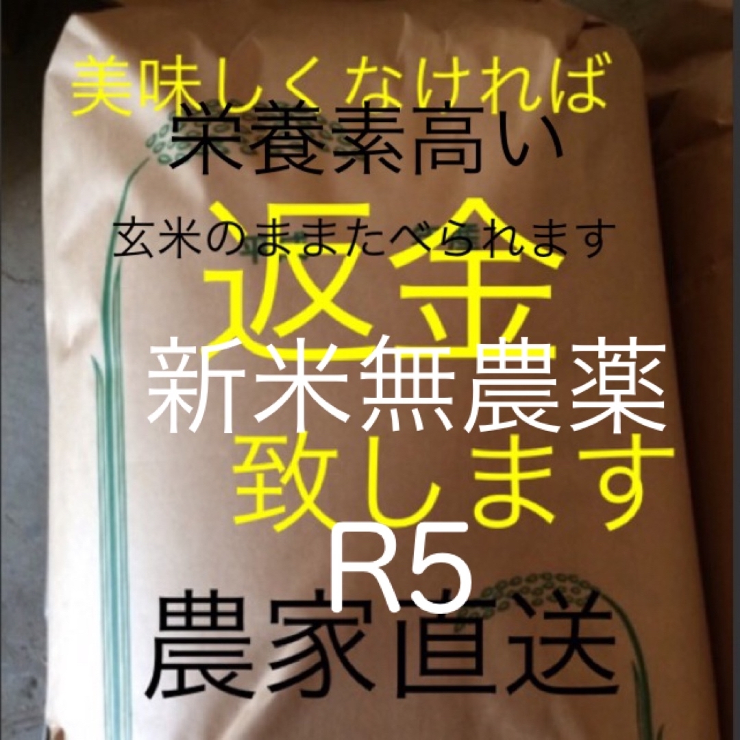 新米　無農薬純こしひかり30㎏ 玄米