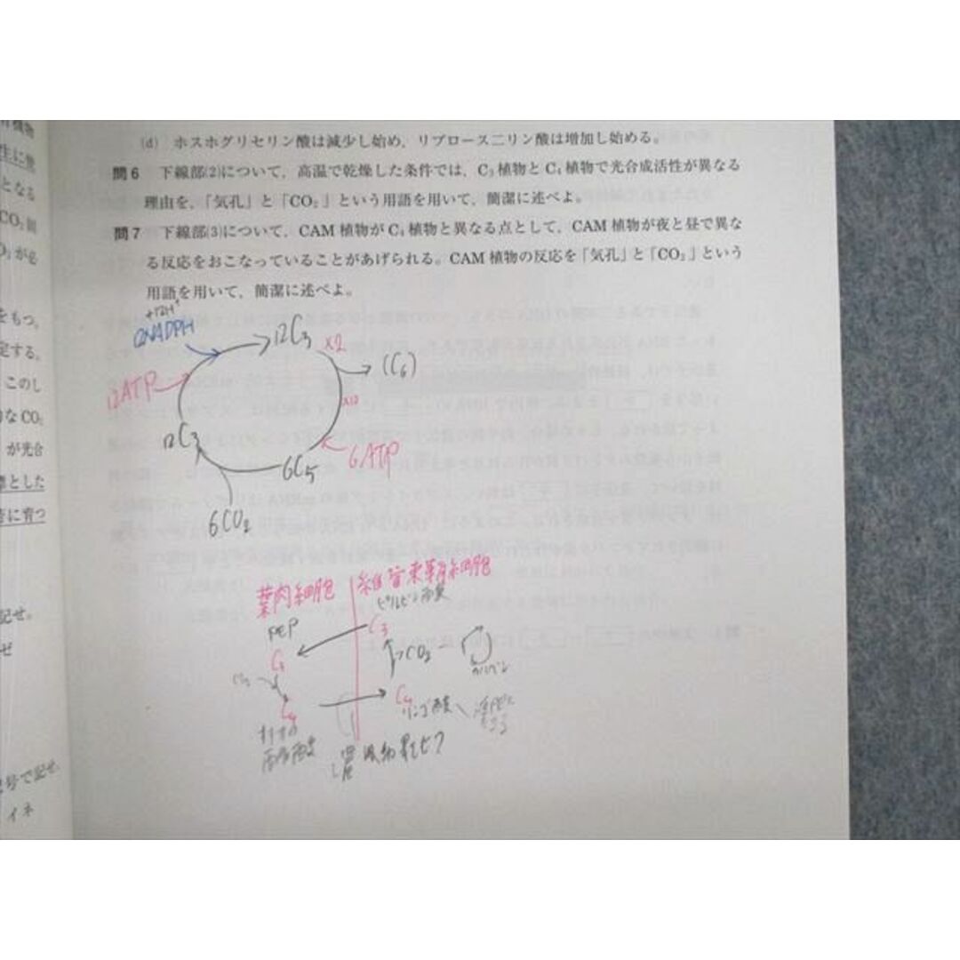 VF02-125 河合塾 ファイナル生物 2022 直前 岡伸太郎 05s0D