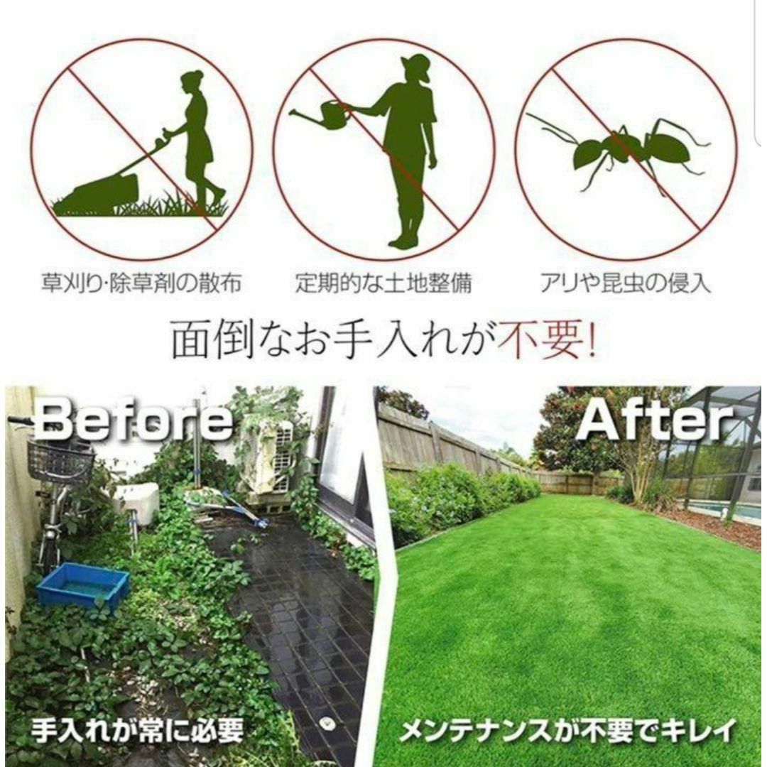 人工芝 リアル 2m×10m 2本セット芝丈35mm 密度2倍 高耐久固定ピン付の