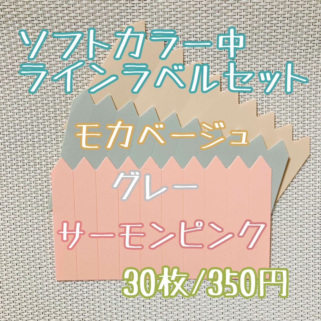 ラインラベル 中 肌/茶/灰 各 10枚 カラー 多肉植物 エケベリア  ハンドメイドのフラワー/ガーデン(その他)の商品写真