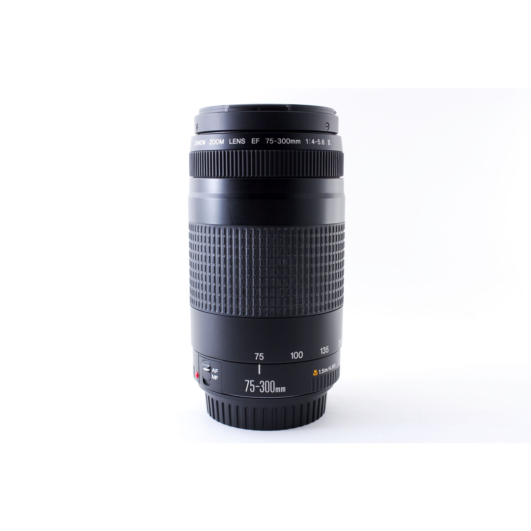 Canon - ☆フード付☆キャノン 超望遠レンズ Canon EF 75-300㎜☆の