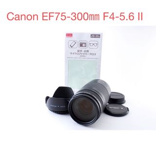 Canon - ☆フード付☆キャノン 超望遠レンズ Canon EF 75-300㎜☆の