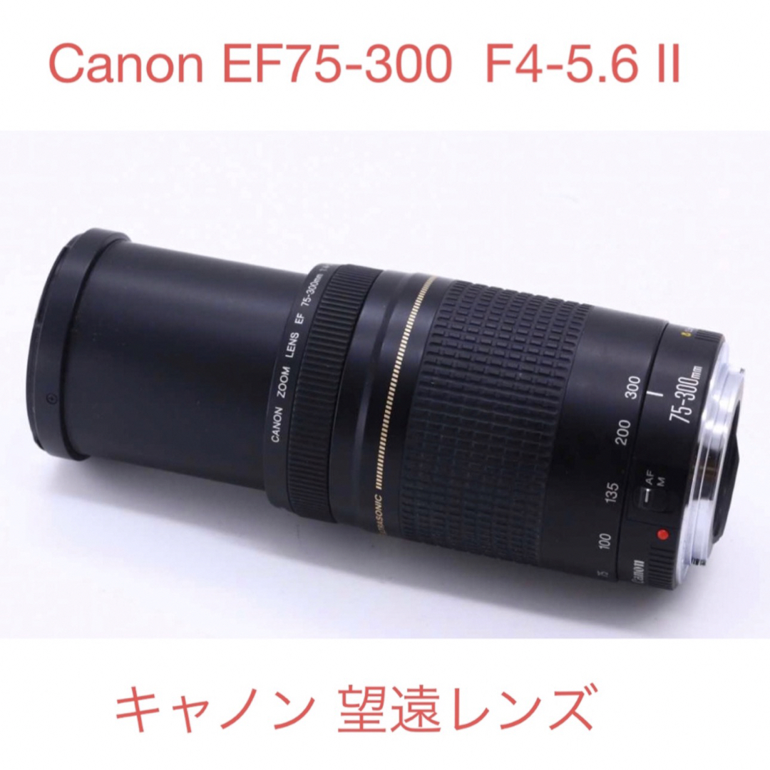 キャノン☆超望遠レンズ☆Canon EF75-300  F4-5.6 II