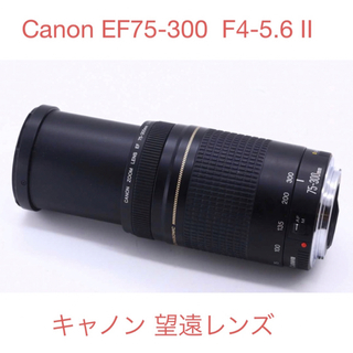 Canon - キャノン☆超望遠レンズ☆Canon EF75-300 F4-5.6 IIの通販 by