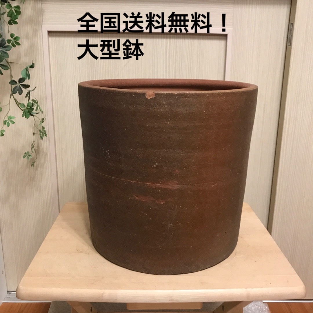 【大型】テラコッタ鉢　植木鉢  シンボルツリー