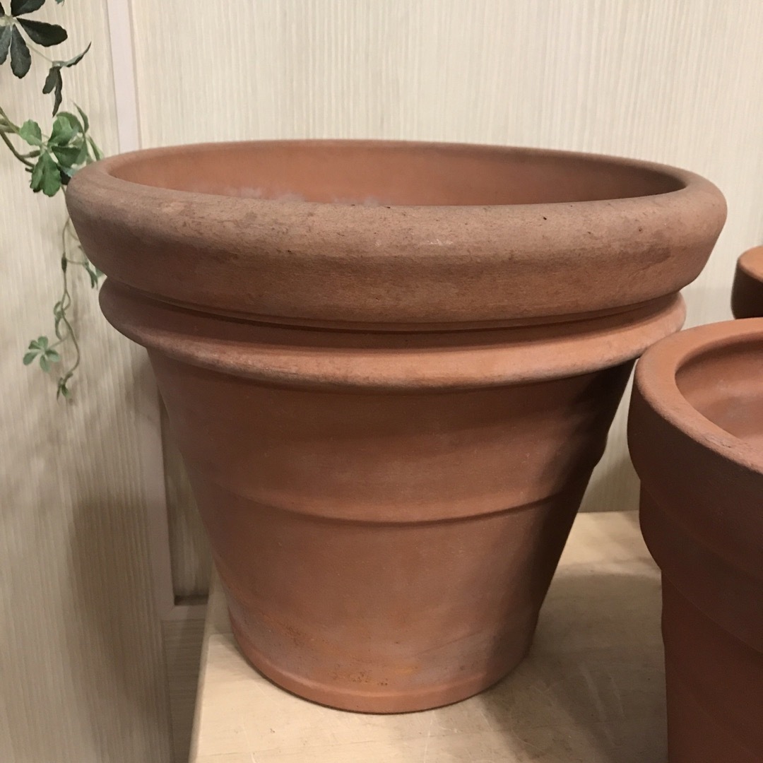 3個まとめて】テラコッタ鉢 植木鉢寄せ植えガーデニングの通販 by