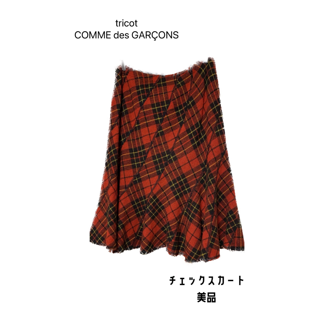 tricot COMME des GARONS トリココムデギャルソン スカート | フリマアプリ ラクマ