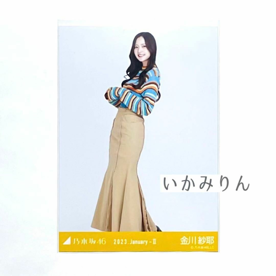 乃木坂46 金川紗耶 マルチカラーニット ヒキ 生写真 2023 エンタメ/ホビーのタレントグッズ(アイドルグッズ)の商品写真