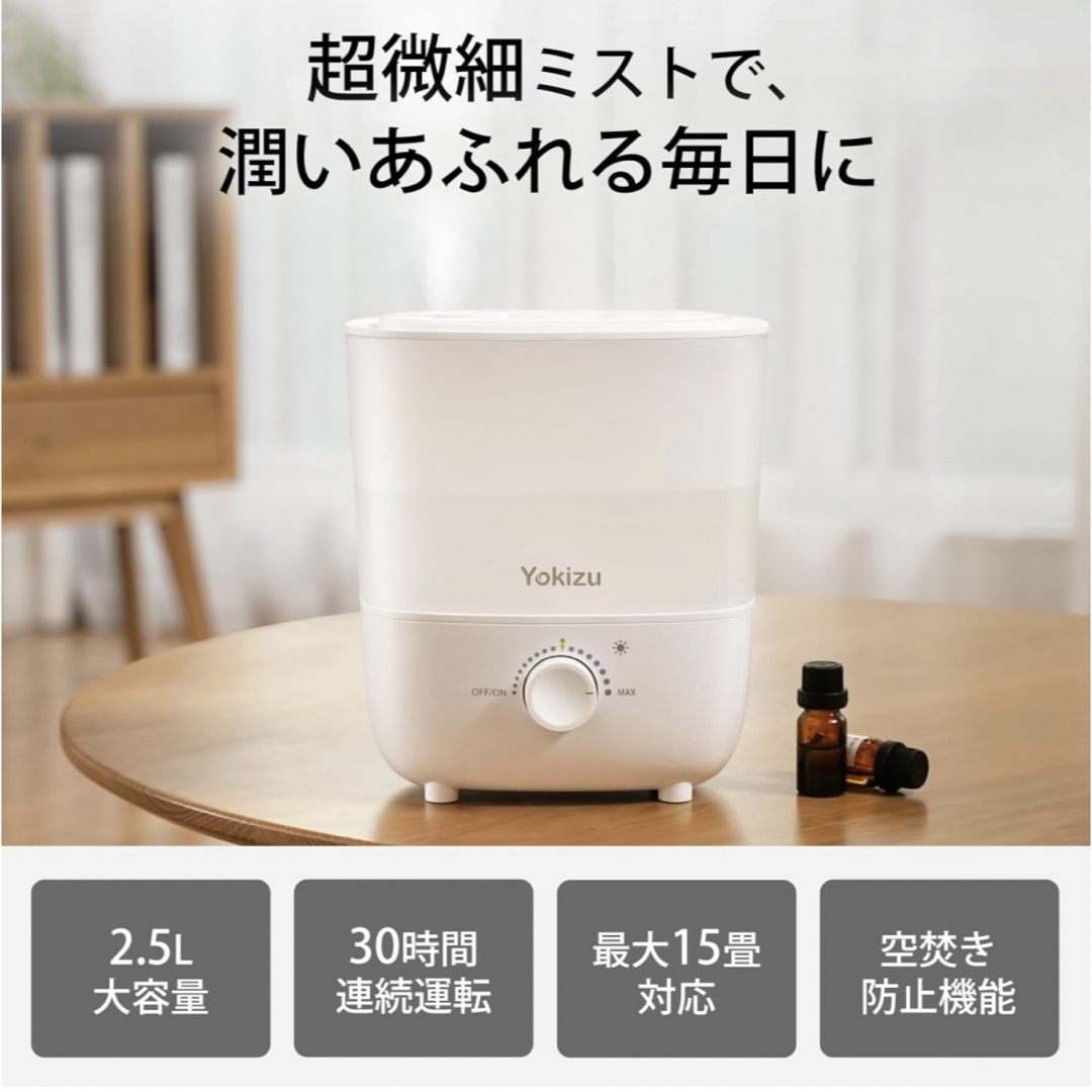 加湿器 卓上 大容量 2.5L 小型 超音波式 省エネ コンパクト 次亜塩素酸水 1