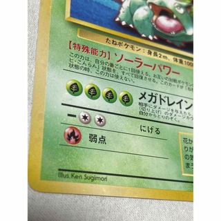 ポケモン - [全面ホロ強め][美品] 旧裏 ポケモンカード フシギバナの