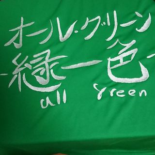 もこう オールグリーン Tシャツ　Lサイズ(男性タレント)