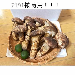 中国産 松茸 約2kg まつたけ 松茸。(野菜)