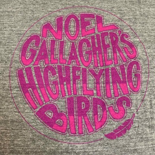 NOEL GALLAGHER'S HIGH FLYING BIRDS 12s T