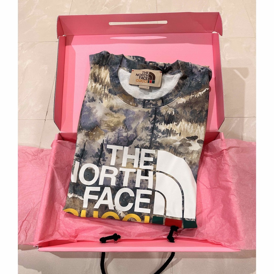 Gucci - GUCCI × THE NORTH FACE グッチノースフェイスコラボTシャツの