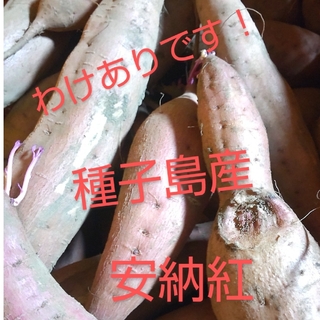 訳あり品　種子島産安納紅M・Lサイズ混合5キロ(野菜)