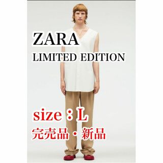 ザラ シャツ(メンズ)（ノーカラー）の通販 35点 | ZARAのメンズを買う ...
