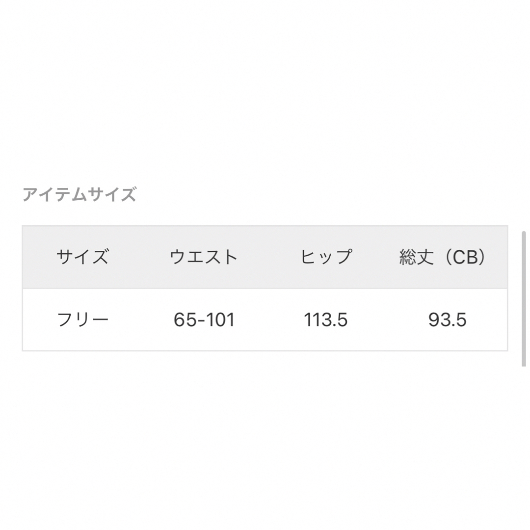 JOURNAL STANDARD relume(ジャーナルスタンダードレリューム)のJOURNAL STANDARD relume コットンボイルレイヤードスカート レディースのスカート(ロングスカート)の商品写真