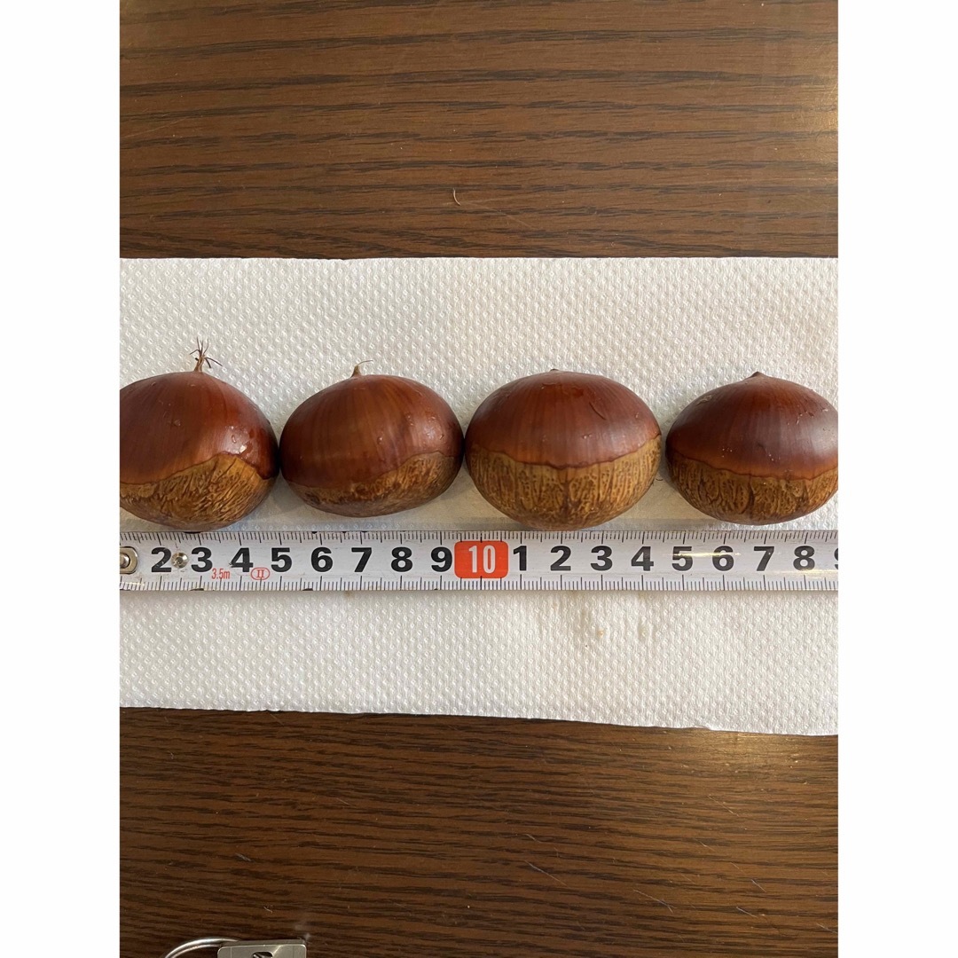 大粒栗🌰1.6キロ渋皮煮に最適3L.4L 食品/飲料/酒の食品(フルーツ)の商品写真