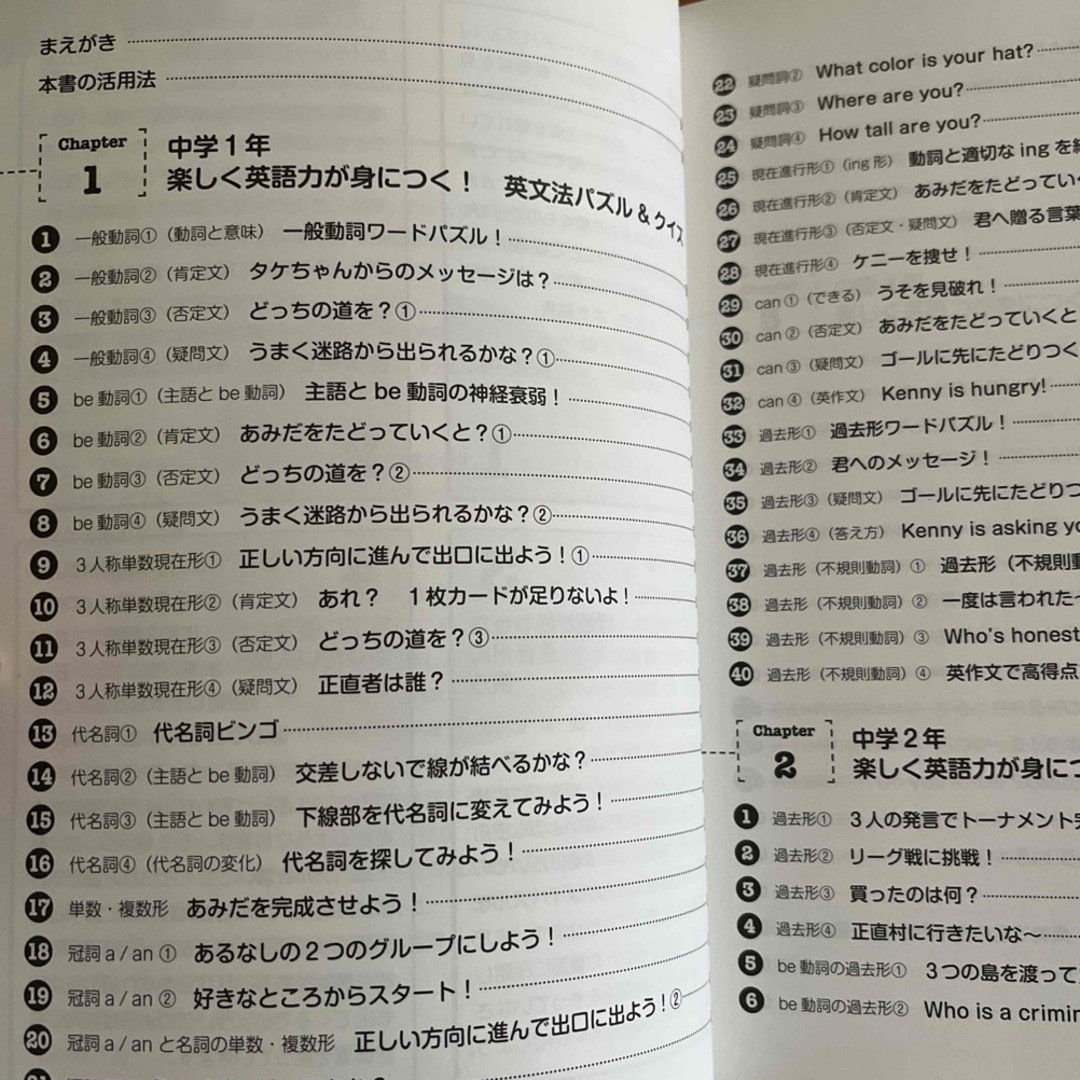 授業を１００倍面白くする！中学校英文法パズル＆クイズ 知らず知らずのうちに英文法 エンタメ/ホビーの本(人文/社会)の商品写真