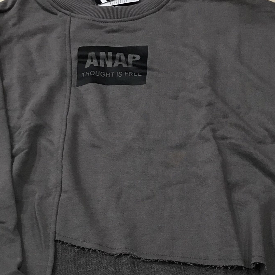 ANAP(アナップ)のアナップ　トレーナー　スウェット　ショート丈　切りっぱなし　ボックスロゴ　新品 レディースのトップス(トレーナー/スウェット)の商品写真