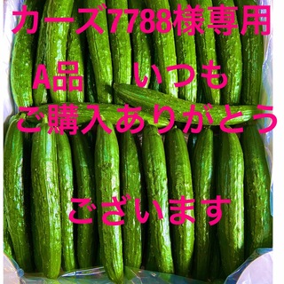 きゅうり5キロA品(野菜)