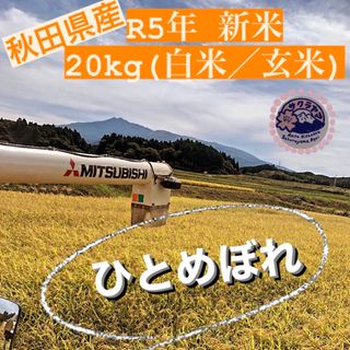 ★令和5年 ‪新米  ひとめぼれ 20kg  一等米級 秋田県産 産地直送★ (米/穀物)