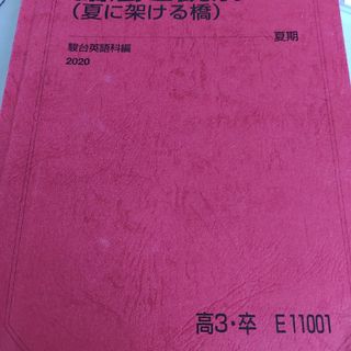 駿台語法と読解　2020 高3・卒(語学/参考書)