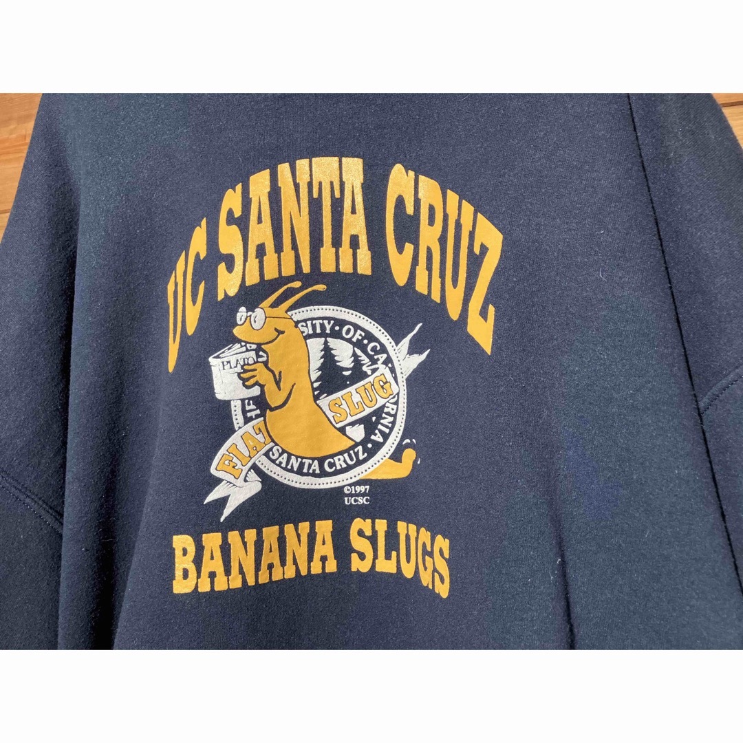 UC SANTACRUZ banana slugs ネイビー パーカー　XL